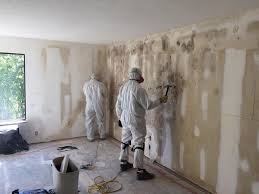 Best Residential Mold Inspection & Testing in Meadow Vale, KY